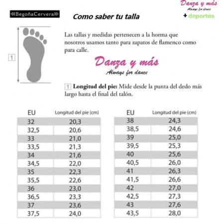 Zapatos flamenco Begoña Cervera inicio 224 - Imagen 2