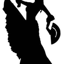 VESTUARIO DE DANZA