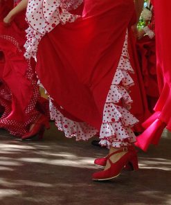 Zapatos flamenco