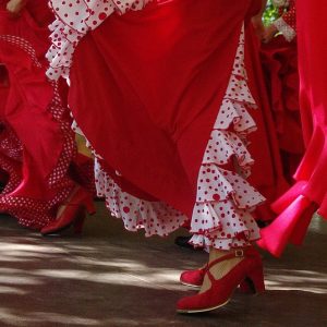 Zapatos flamenco