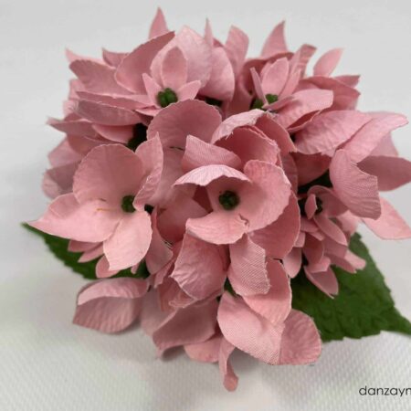 Hortensia flamenca