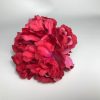 Flor peonia flamenca para el pelo de colores alegres