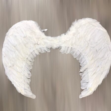 Alas de ángel para disfraz