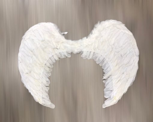 Alas de ángel para disfraz