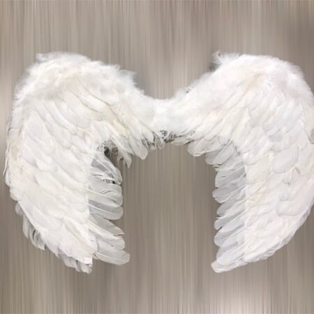 Alas de ángel pequeñas