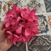 Flores de flamenca