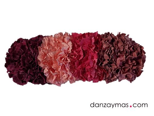 Tiara flamenca de claveles