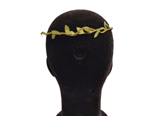 Tiara con flores silvestres