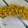 Peineta con flores preservadas