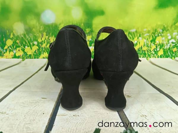 Zapatos de flamenca profesional ante