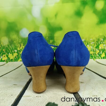 Zapatos flamenca Barroco