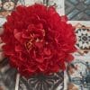 Flor flamenca Lucia
