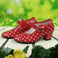 Zapatos de flamenca lunares