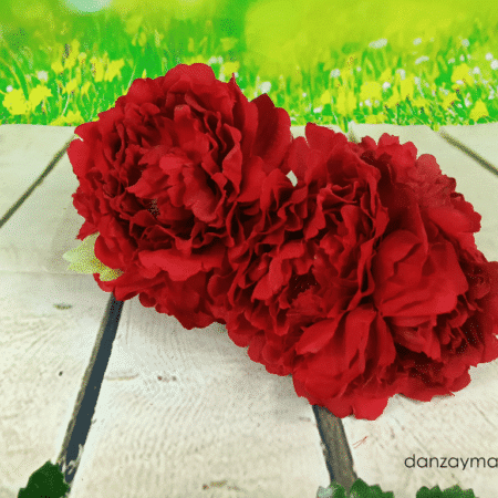 Rosas para el pelo