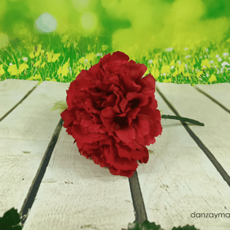 Rosas para el pelo