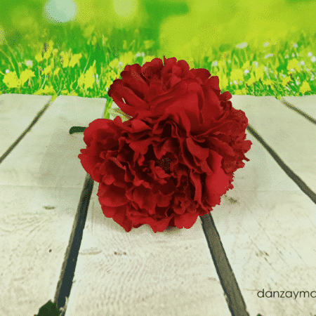 Rosas para el pelo