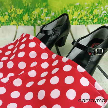 Bolsa transporte zapatos de flamenca
