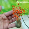 Pendientes de flamenca dorados
