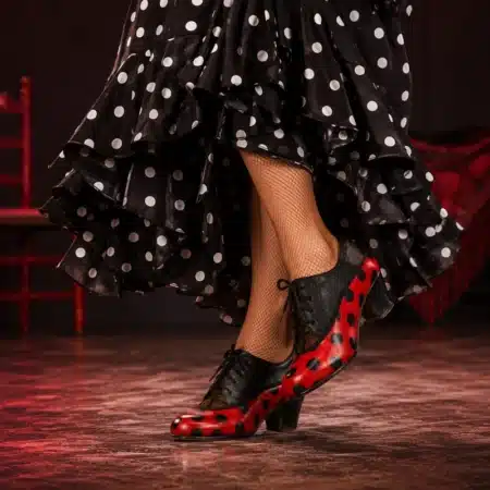Zapatos de flamenca